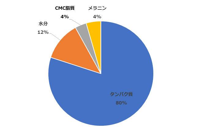 髪の毛は次のような割合で構成されています