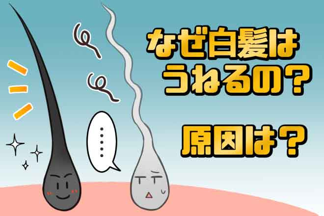 スタイリングがキマらない！白髪がうねる原因と対策法は？